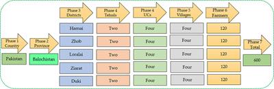 Exploring the influence of internet technology adoption on the technical efficiency of food production: insight from wheat farmers